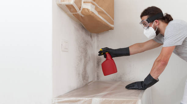 Professional Bathroom Mold Removal technician working in Portage, PA