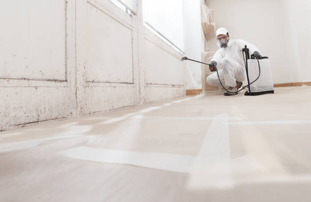 24/7 Emergency Bathroom Mold Removal experts in Portage, PA