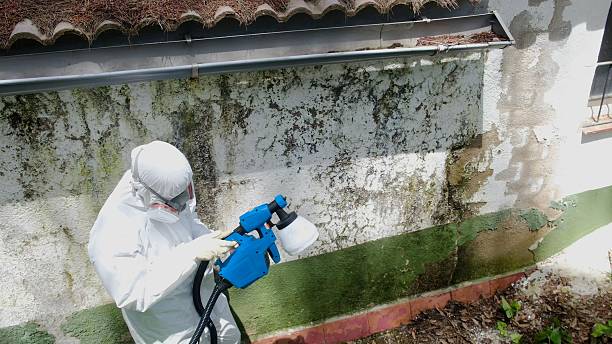 Top rated local Bathroom Mold Removal specialists in Portage, PA